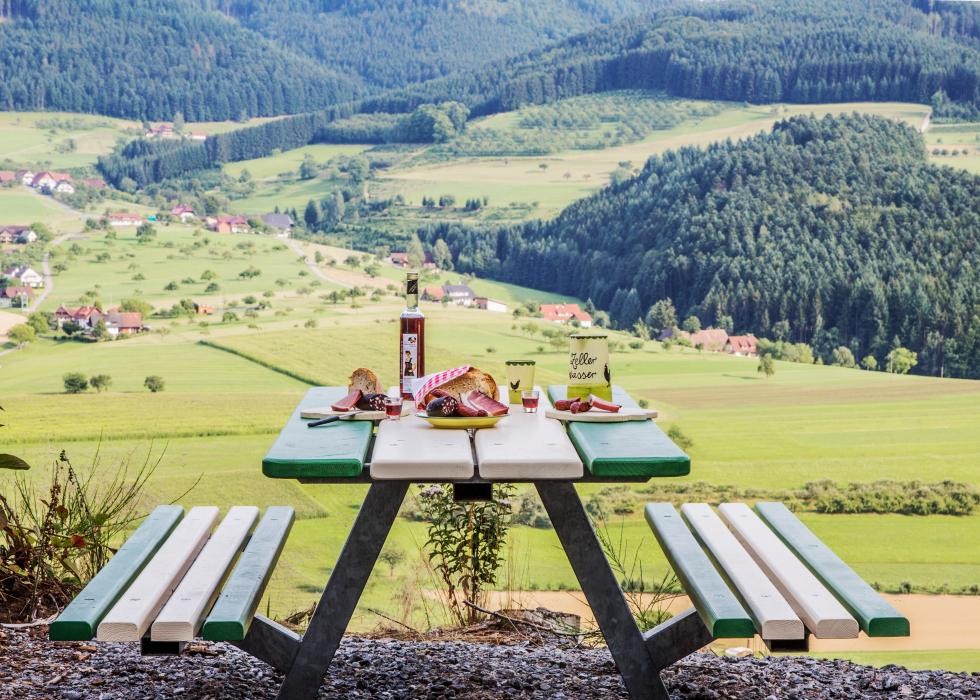 gedeckter Picknicktisch beim Jägereckle, Blick in die Natur