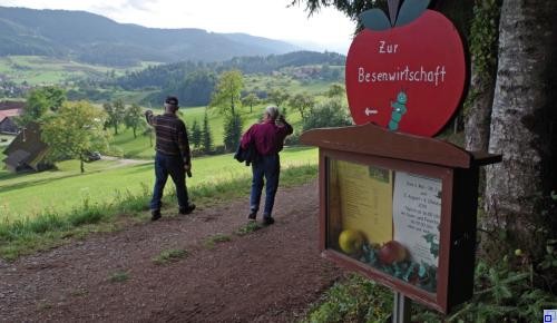 Zwei Wanderer die ins Tal runter schauen auf der Hahn und Henne Wanderrunde