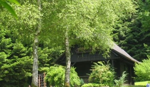 Holzhütte bei der Walderholungsanlage Gehrmatt, kann gemietet werden