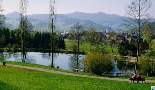 Teich bei der Gehrmatt Walderholungsanlage