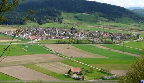 Blick auf Unterentersbach, vorne dran Felder im Hintergrund Wald