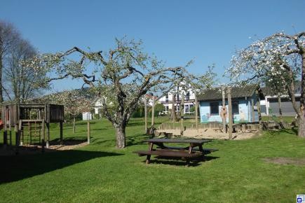 Gartenanlage des Kindergarten Villa Regenbogen Rasenfläche mit Bäumen, Picknicktisch und Klettergerüst