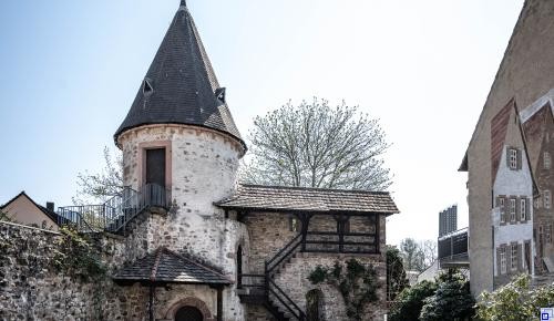 Der Hirschturm Der Hirschturm