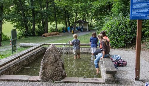 Wassertretstelle Wassertretstelle bei der Grillstelle Hinterhambach